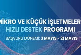 Mikro ve Küçük İşletmelere Hızlı Destek Proje Kredisi Başvuru Şartları ve Detayları…