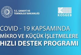 Covıd-19 Kapsamında Mikro ve Küçük İşletmelere Hızlı Destek Programı