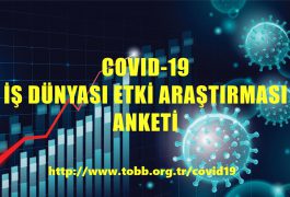 Covıd-19 İş Dünyası Etki Araştırması Anketi